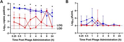 Pharmacokinetic Assessment of Staphylococcal Phage K Following Parenteral and Intra-articular Administration in Rabbits